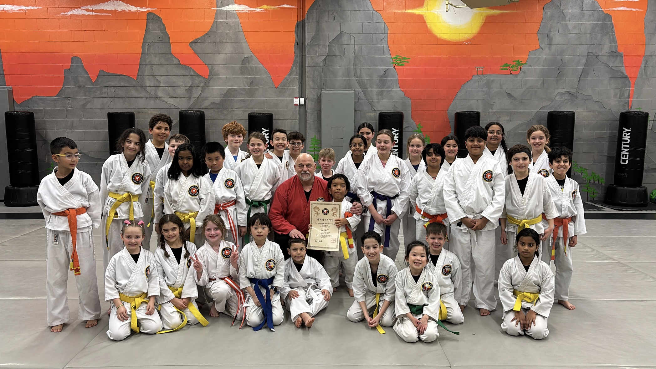 What Is ITF and WT Taekwondo? Understanding the Differences and Choosing the Right Path